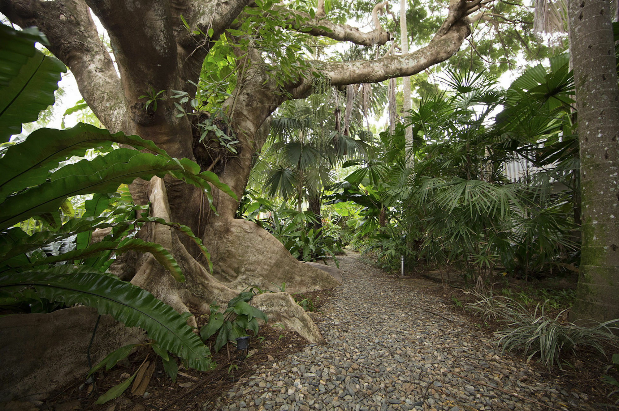 Castaways Resort & Spa On Mission Beach Extérieur photo