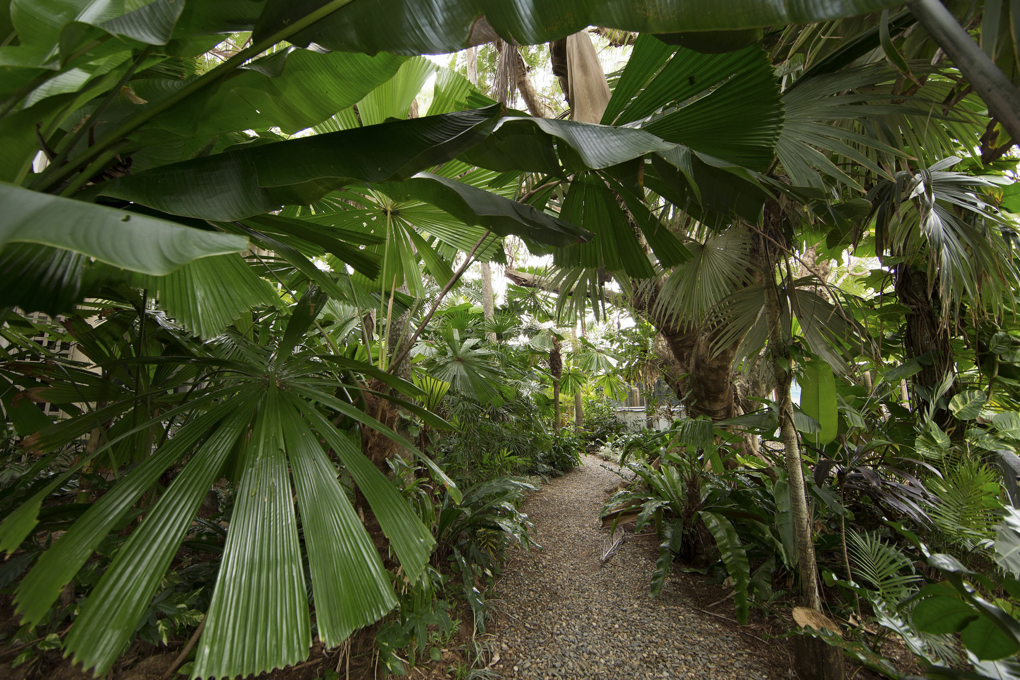 Castaways Resort & Spa On Mission Beach Extérieur photo